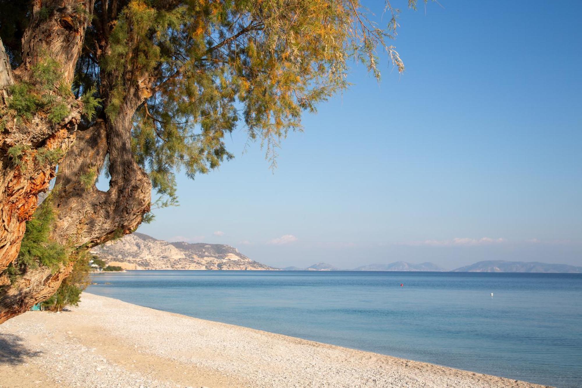 Kineta Seaside Summer Apartments Εξωτερικό φωτογραφία